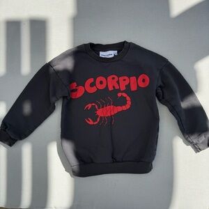 Mini Rodini Organic Scorpio Sweatshirt Size 104/110 Fits 4-5Y